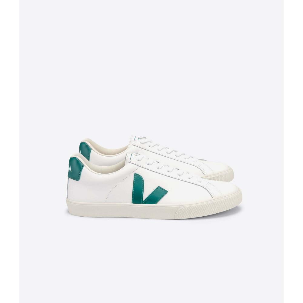 White/Green Men\'s Veja ESPLAR LEATHER Sneakers | AU 305ZUT